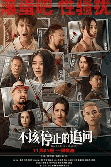 不该停止的追问电影海报在线看